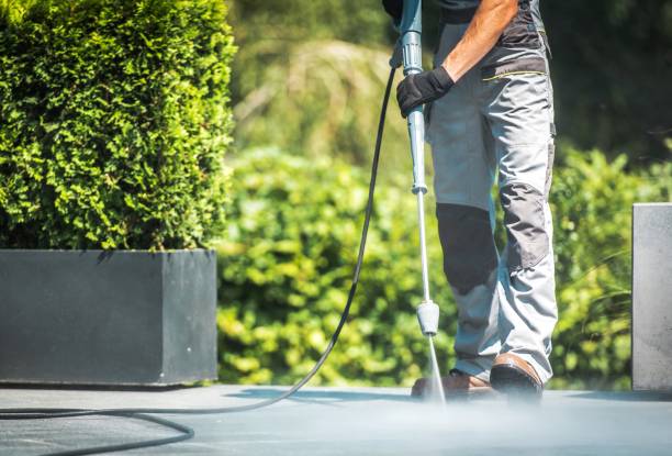 Best Roof Washing  in Gurdon, AR